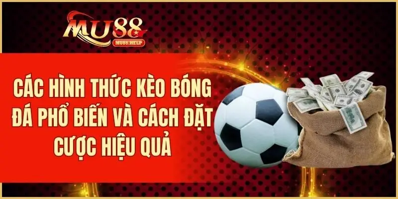 Cá Cược Bóng Đá MU88 - Kèo Nhà Cái Uy Tín, Tỷ Lệ Hấp Dẫn 2 Tổng hợp các hình thức kèo bóng đá phổ biến và cách đặt cược